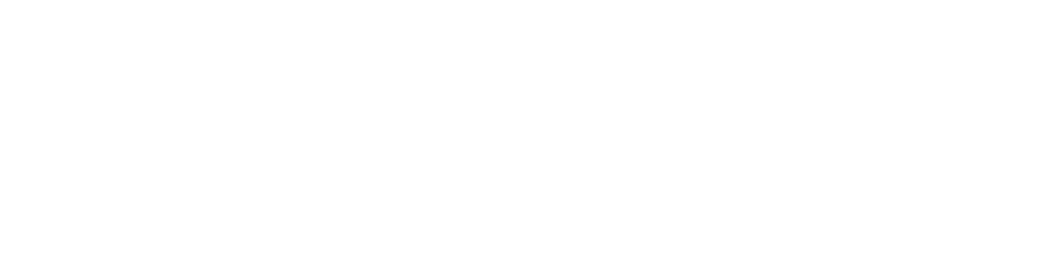 雙效輔導課程